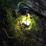 CC乥V5在线直播平台精彩内容实时放送 d5wml4w