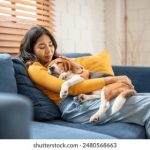 CCTV财经频道在线直播:实时掌握全球经济动态与市场行情 w0ptlz0ha