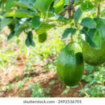 《都市快报》精彩直播全程回放完整版 33pi7a