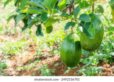 《都市快报》精彩直播全程回放完整版 《都市快报》精彩直播全程回放完整版