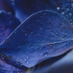 《金鹰剧场》独家高清直播在线观看入口 804z8v3en