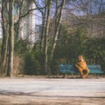 《都市110》最新直播节目表及播出时间安排 o7ez3f9d